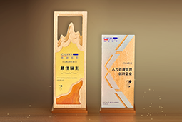 K8凯发国际国际一举斩获“2024年度中国区最佳雇主”等多项大奖